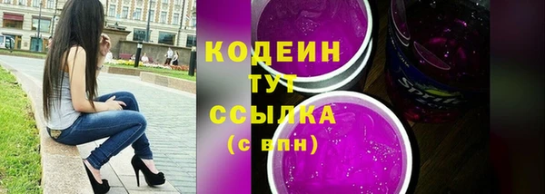 дмт Заводоуковск