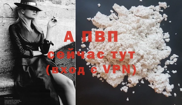 дмт Заводоуковск