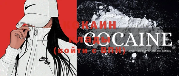 дмт Заводоуковск
