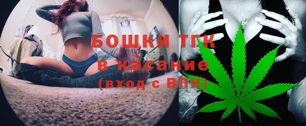 дмт Заводоуковск
